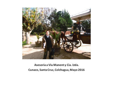 Asesoría a Viu Manent y Cia. Ltda.